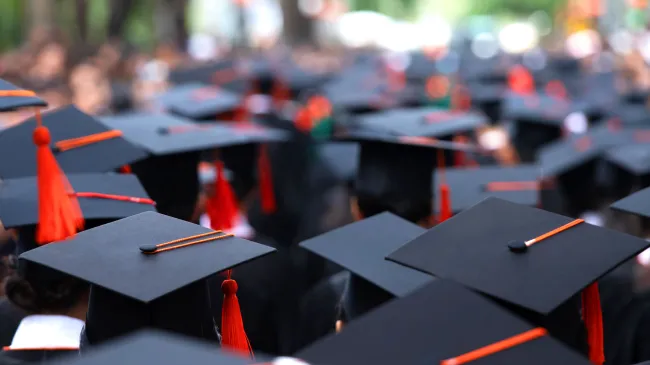 Higher Education